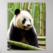 Een close-up portret van een Panda Poster (Voorkant)