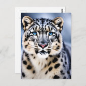Een close-up portret van een sneeuwluipaard briefkaart (Voorkant / Achterkant)