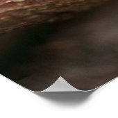 Een close-up van een charmante Baby Robin Poster (Hoek)