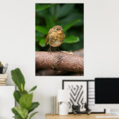 Een close-up van een charmante Baby Robin Poster (Thuiskantoor)