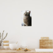 Een close-up van een kat die op een raam zit poster (Keuken)