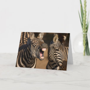 Een close-up van een Zebra die zijn tanden tonen, Kaart