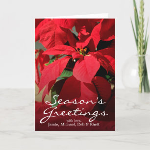 Een close-up van poinsettia feestdagen kaart
