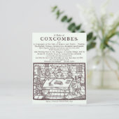 Een cluster van Coxcombes' door John Taylor Briefkaart (Staand voorkant)