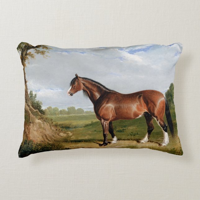 Een Clydesdale-hengst Accent Kussen (Voorkant)