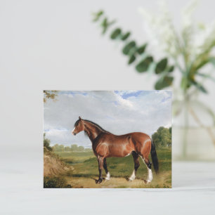 Een Clydesdale-hengst Briefkaart
