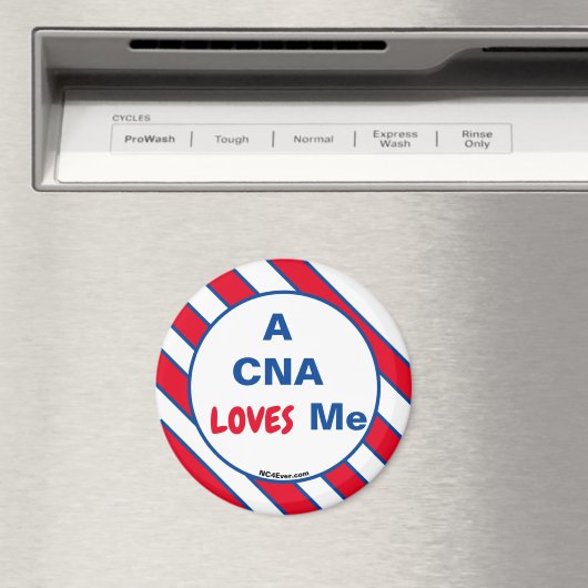 Een CNA verliest me magneet (Insitu (Vaatwasser))