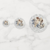Een Collectie Seashells op Sand Confetti (Voorkanten)