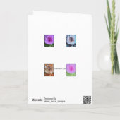 Een Collectie van Dahlias Kaart (Achterkant)