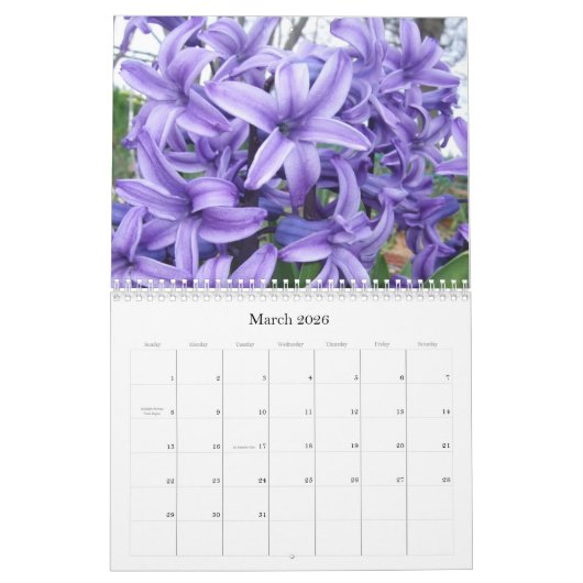Een Collectie van de seizoenen #1 Kalender (Mar 2026)