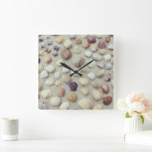 een Collectie zeeschelpen Vierkante Klok (Huis)