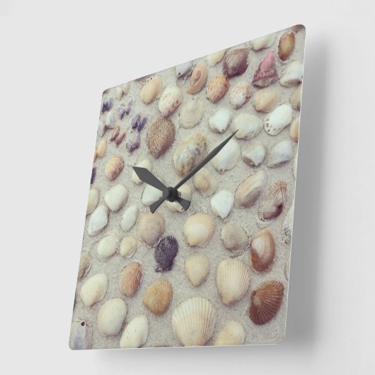 een Collectie zeeschelpen Vierkante Klok (Hoek)