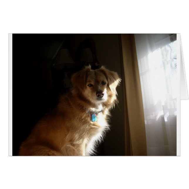 Een comfortabele opvrager (Voorkant Horizontaal)