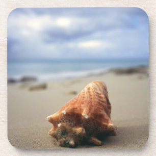 Een container Shell op de beach   St. Croix, Usvi Bier Onderzetter
