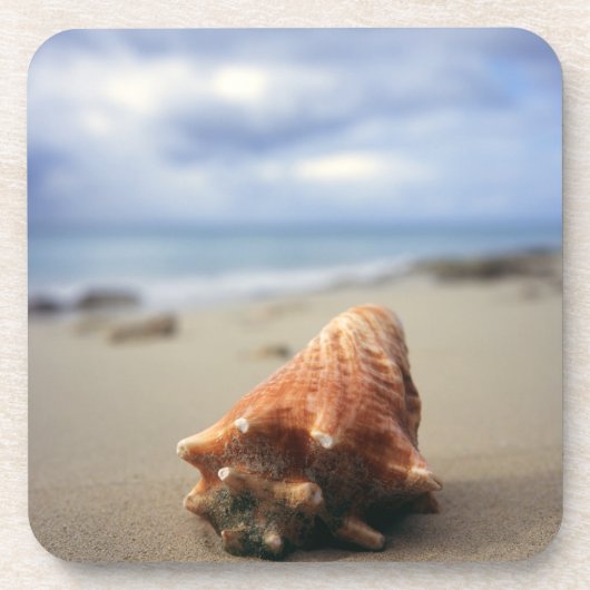 Een container Shell op de beach | St. Croix, Usvi Bier Onderzetter (Voorkant)