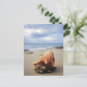 Een container Shell op de beach | St. Croix, Usvi Briefkaart (Staand voorkant)