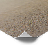 Een container Shell op de beach | St. Croix, Usvi Poster (Hoek)