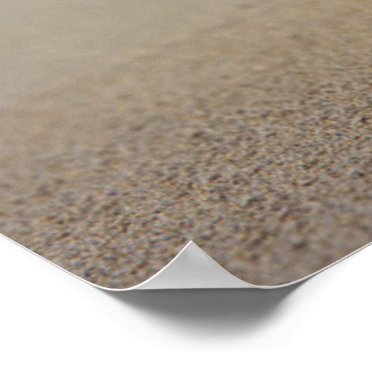 Een container Shell op de beach | St. Croix, Usvi Poster (Hoek)