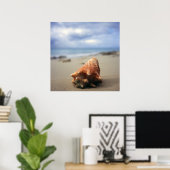 Een container Shell op de beach | St. Croix, Usvi Poster (Thuiskantoor)