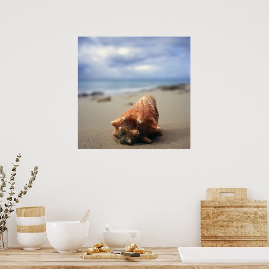 Een container Shell op de beach | St. Croix, Usvi Poster (Keuken)