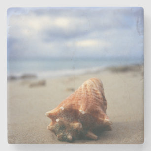 Een container Shell op de beach St. Croix, Usvi Stenen Onderzetter
