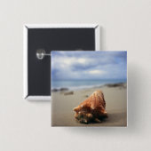 Een container Shell op de beach | St. Croix, Usvi Vierkante Button 5,1 Cm (Voorkant /achterkant)