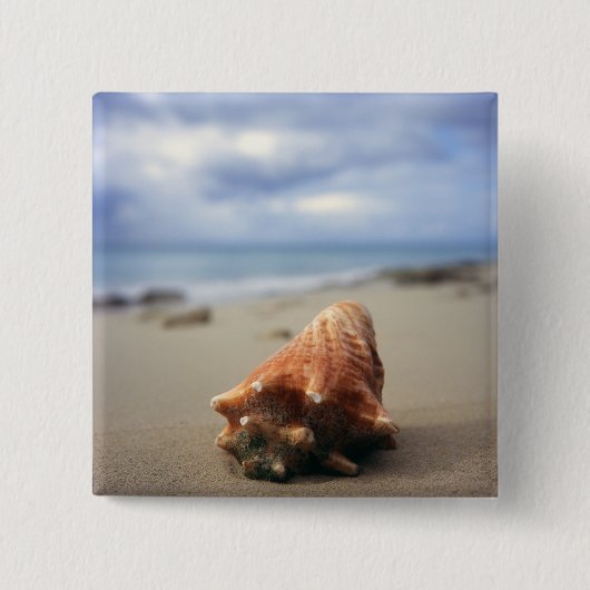 Een container Shell op de beach | St. Croix, Usvi Vierkante Button 5,1 Cm (Voorkant)
