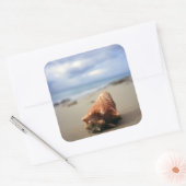Een container Shell op de beach | St. Croix, Usvi Vierkante Sticker (Envelop)