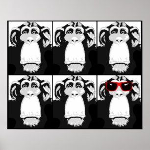 Eén Coole Aap Grappige Poster Bord Print