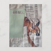 Een Coole Grote Kitty Mixed Media Collage Briefkaart (Voorkant)