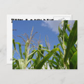 Een Corny Briefkaart! Briefkaart (Voorkant / Achterkant)