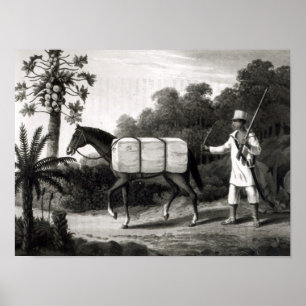 Een Cotton Carrier, van 'Travels in Brazil' Poster
