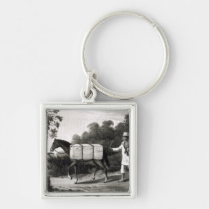 Een Cotton Carrier, van 'Travels in Brazil' Sleutelhanger