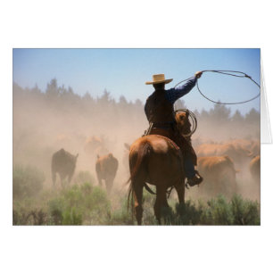 Een cowboy die buiten werkt met de kudde op een ve