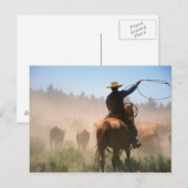 Een cowboy die de kudde aan een vee werkt briefkaart (Voorkant / Achterkant)