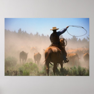 Een cowboy die de kudde aan een vee werkt poster