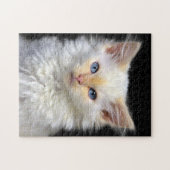 Een Cream Siamese keuken met rode punten Legpuzzel (Horizontaal)