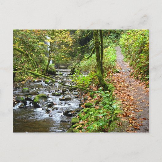 Een crèche briefkaart (Voorkant)