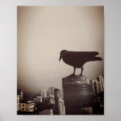 Een Crow's Eye Uitzicht Poster (Voorkant)