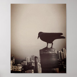 Een Crow's Eye Uitzicht Poster