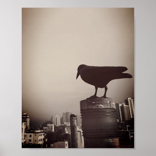 Een Crow's Eye Uitzicht Poster (Voorkant)
