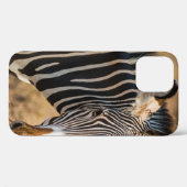 EEN CURIEUZE ZEBRA BIJ DE NATIONALE RESERVE VAN SA Case-Mate iPhone CASE (Achterkant (horizontaal))