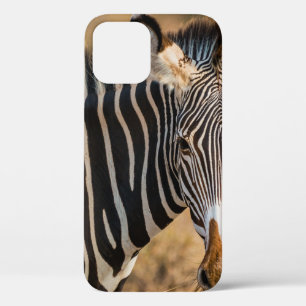 EEN CURIEUZE ZEBRA BIJ DE NATIONALE RESERVE VAN SA Case-Mate iPhone CASE
