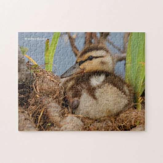 Een Cute and Precocide Mallard Ducking Legpuzzel (Horizontaal)