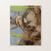 Een Cute and Precocide Mallard Ducking Legpuzzel (Verticaal)