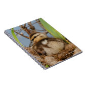 Een Cute and Precocide Mallard Ducking Notitieboek (Rechterzijde)