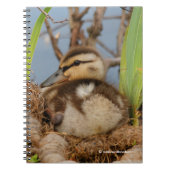 Een Cute and Precocide Mallard Ducking Notitieboek (Voorkant)