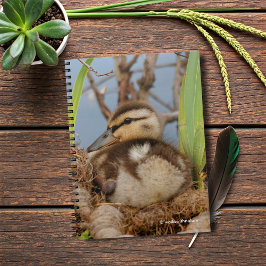 Een Cute and Precocide Mallard Ducking Notitieboek
