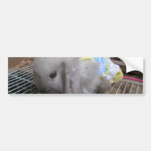 Een Cute Bunny Rabbit in een dress Bumpersticker