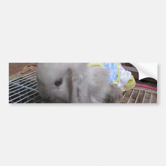 Een Cute Bunny Rabbit in een dress Bumpersticker (Voorkant)
